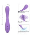 CALEXOTICS - CONTOUR DEMI-VIOLET