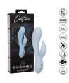 CALEXOTICS - CONTOUR KALI BLEU