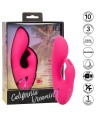 CALEXOTICS - DONC. VIBRATEUR CAL SUNSHINE RABBIT FUCHSIA PAR CALIFORNIA DREAMING