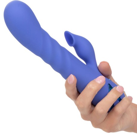 CALEXOTICS - VIBRATEUR SUCKER LA LOVE BLEU PAR CALIFORNIA DREAMING