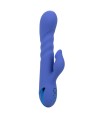 CALEXOTICS - VIBRATEUR SUCKER LA LOVE BLEU PAR CALIFORNIA DREAMING