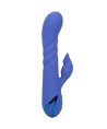 CALEXOTICS - VIBRATEUR SUCKER LA LOVE BLEU PAR CALIFORNIA DREAMING