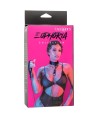 CALEXOTICS - EUPHORIA COLLIER AVEC LAISSE CHAÎNE