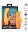 CALEXOTICS - MONTECITO MUSE VIBRATEUR LAPIN ORANGE PAR CALIFORNIA DREAMING