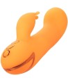 CALEXOTICS - MONTECITO MUSE VIBRATEUR LAPIN ORANGE PAR CALIFORNIA DREAMING