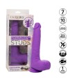 CALEXOTICS - STUDS VIBRATEUR RECHARGEABLE ET ROTATIF 10 VIBRATIONS VIOLET