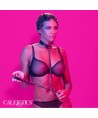 CALEXOTICS - EUPHORIA COLLIER ET LAISSE CHAINE