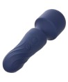 CALEXOTICS - CHARISMA CHARM MASSEUR 12 FONCTIONS VIOLET